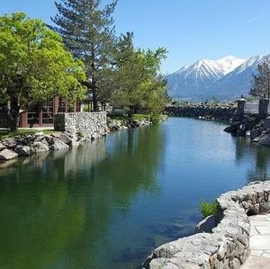 Meet your Posher, Brigitte